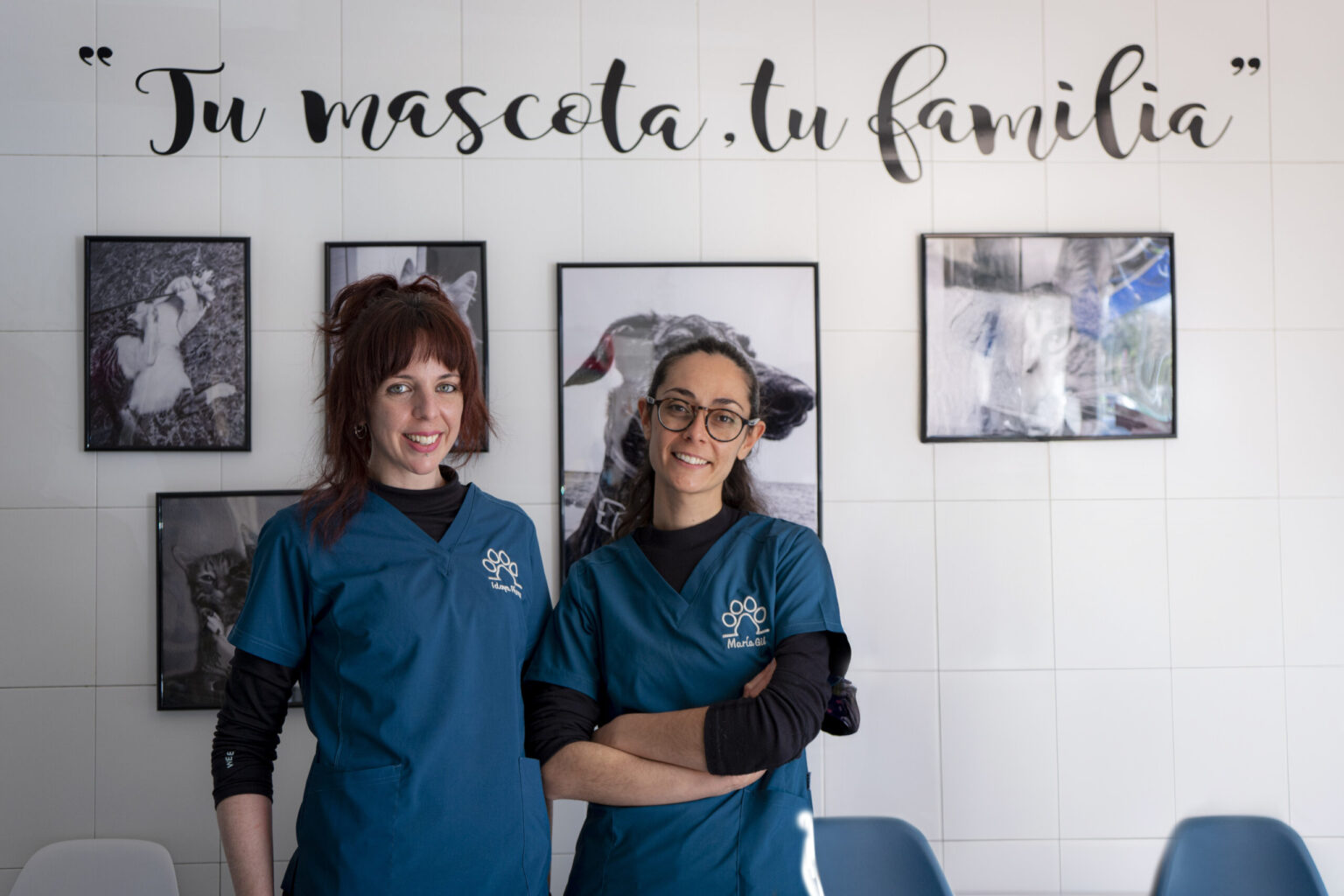 Formación y actualización profesional veterinaria