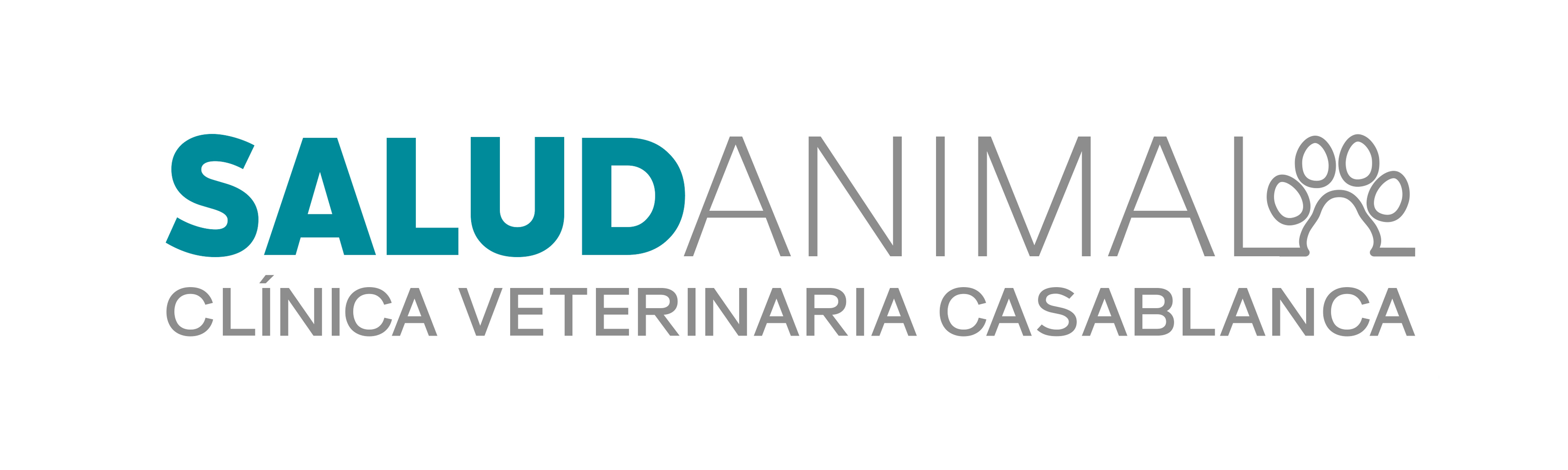 Mascota feliz en consulta veterinaria